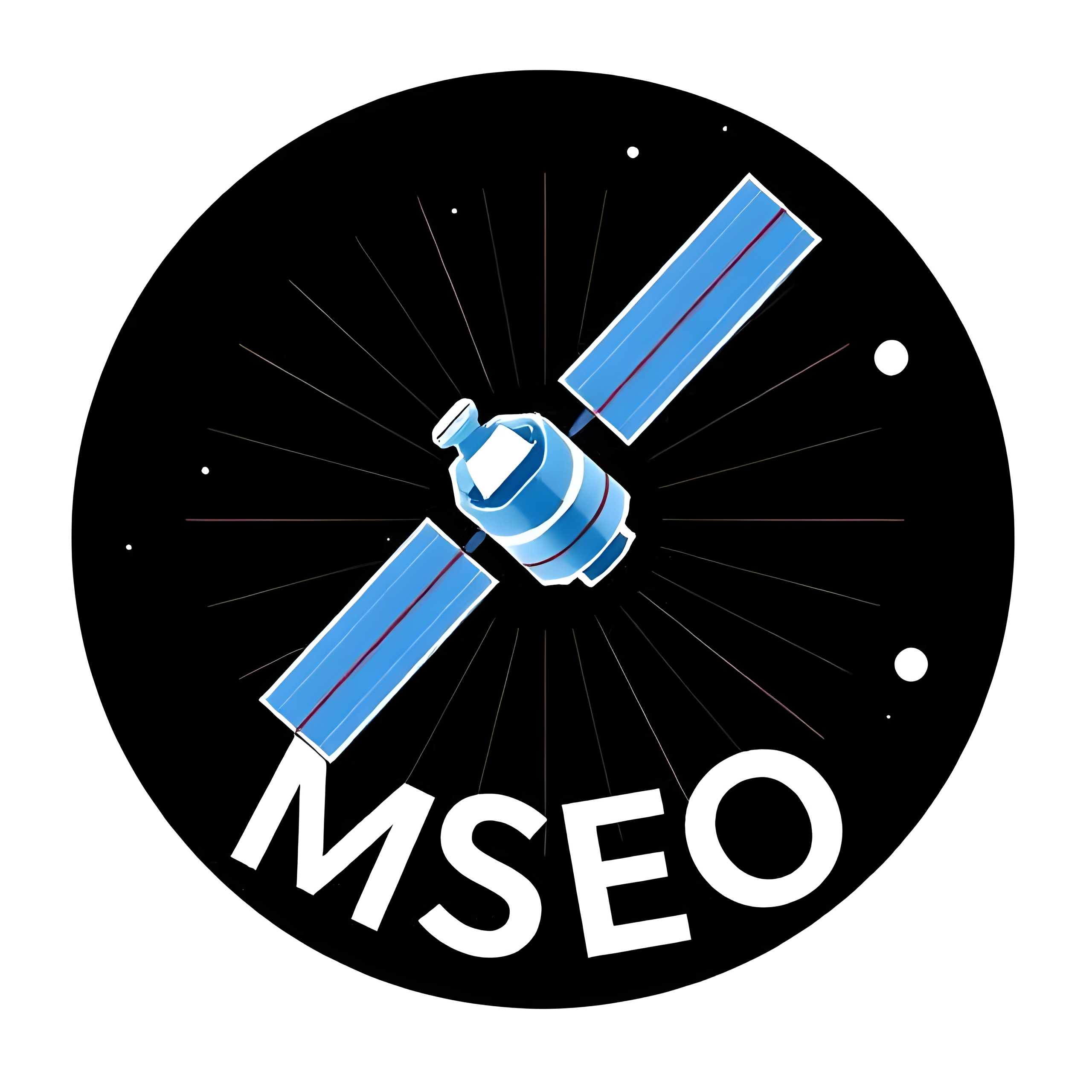 Multi-Scale Earth Observation